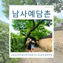 경남 산청에가면 푸르른 &#39;남사예담촌&#39; 이씨고가 회화나무 힐링스팟!