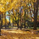 용산-현장-2144 이미지