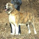 미들농장 이미지