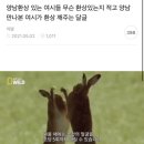 양남환상깨는 달글 캡쳐 이미지