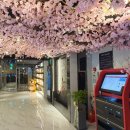 앤유(nuPC) 이미지