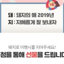 꿈꾸는돼지 이미지