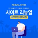 포인사이트