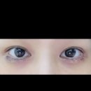 밴스의원 티스토리
