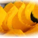 밤이농장 이미지