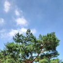 매헌초등학교 이미지