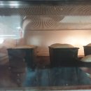 이화푸드조리제빵학원