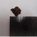 (주)송학식품(제1공장) 이미지