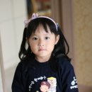 숲속예은유치원 이미지