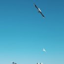 석병의 바다 이미지