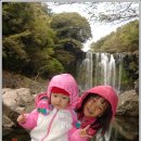 천제연폭포 이미지