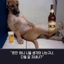 굽네치킨안산