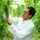 에이치씨 이미지