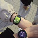 별내동41통(별내효성해링턴코트) | 별내 아쿠아 아레나50 자유수영 후기(오리발 가능 50M 풀)