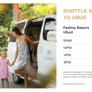 파드마투어 이미지