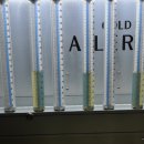 행진커먼레일 이미지