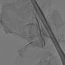 디지켐(주) 이미지