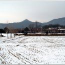 광주동초등학교충효분교장 이미지