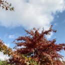 조아복지용구 이미지