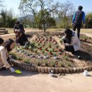 문의초등학교도원분교장 이미지