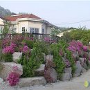 백호목장 이미지