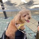 안곡로159번길 이미지