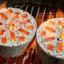 성실수산 이미지