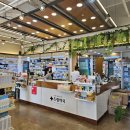 365드림약국 이미지