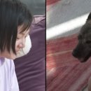 복돌이네 이미지