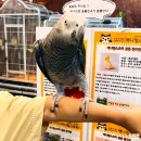 레드앤화이트독 | 경남 창원 아이와가볼만한곳 마산 실내동물원 애니멀스토리