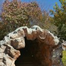 구룡초등학교(병설) 이미지