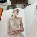 팀폴라리스 | 내돈내산 본식 드레스투어 리얼후기 (꿀팁, 찐느낀점, P의 결혼준비에 대하여) feat.폴라리스,레이첼...