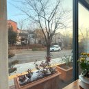 카페비엔 | 수지 상현동 광교숲속마을 카페 비엔 메뉴부터 주차까지 솔직후기