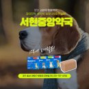 서현중앙약국 네이버블로그