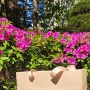 착한유통 이미지