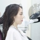 헤어툰