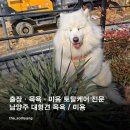 사랑할개 이미지