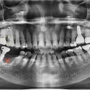 7월7일 치과의원 이미지