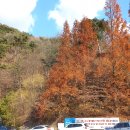 이화령휴게소 앞 이미지