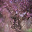 김형제고기철학아중점 이미지