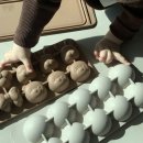 마나전자 | 로코유 이유식 큐브 :: 9개월 아기 후기