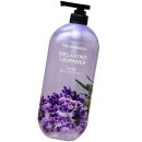 바디온도 이미지