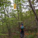 수비초등학교 이미지