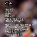 세상의 고운것은 낮은 곳에 있다. 이미지