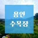 평지 | 용인 수목장 평지형 조성지의 장점과 후기