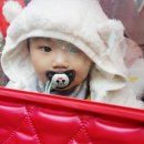 오감톡톡 인지톡톡 싱글벙글(8~13개월) | 11개월아기문화센터 빵가루놀이 오감톡톡 인지톡톡 싱글벙글