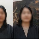 댕댕이쁘띠샵 네이버블로그