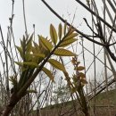 항균농장 이미지