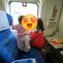 세인트존스호텔 강릉 아이들이랑 호캉스 후기