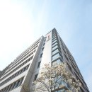 세운약품 이미지